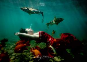 Underwater Portraiture